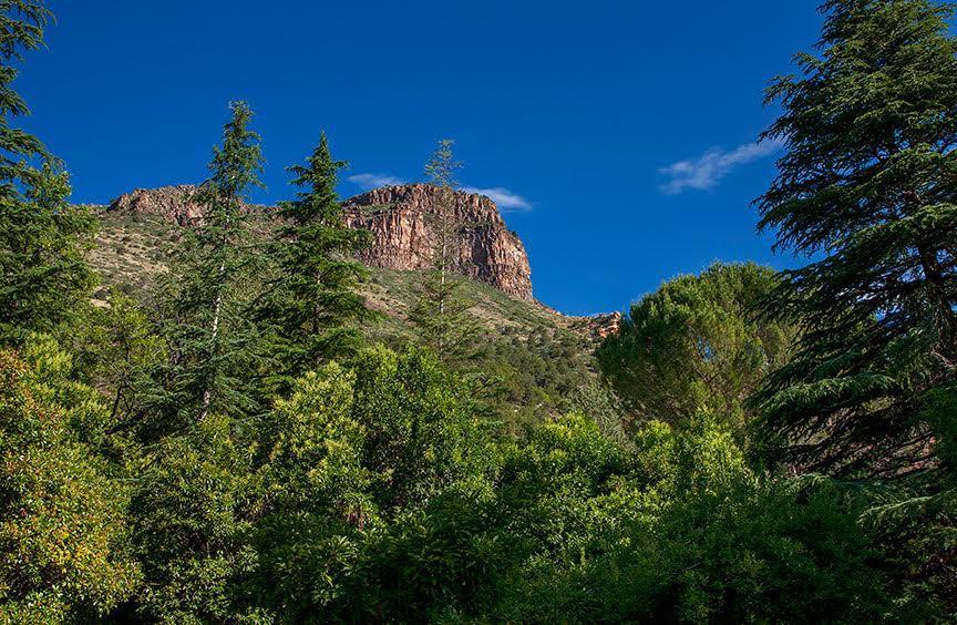 Briar Patch Inn Sedona Exterior photo